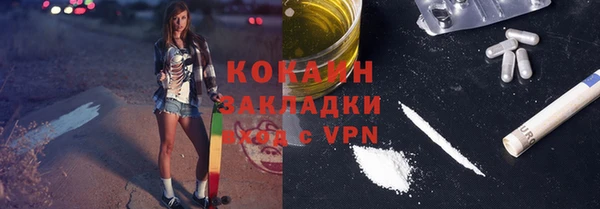твердый Кулебаки