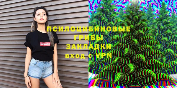 твердый Кулебаки