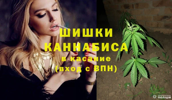 твердый Кулебаки