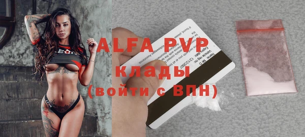 ГАЛЛЮЦИНОГЕННЫЕ ГРИБЫ Кукмор