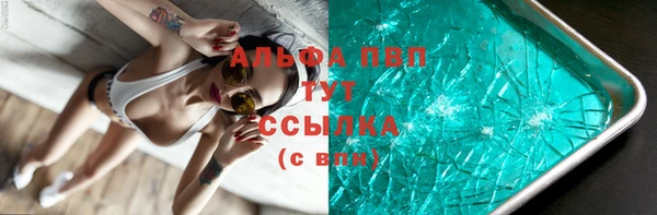 ГАЛЛЮЦИНОГЕННЫЕ ГРИБЫ Кукмор