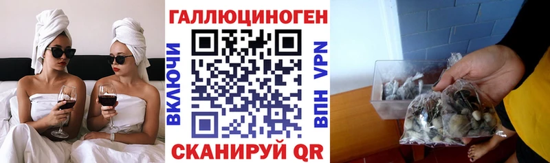 Купить закладки  Краснотурьинск  Псилоцибиновые грибы мицелий 